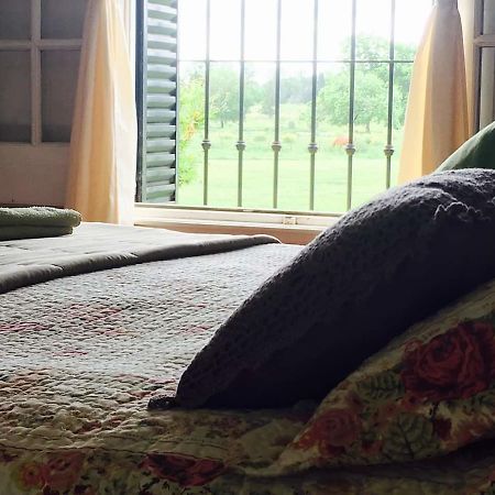 The Polo House Bed and Breakfast Pilar  Buitenkant foto